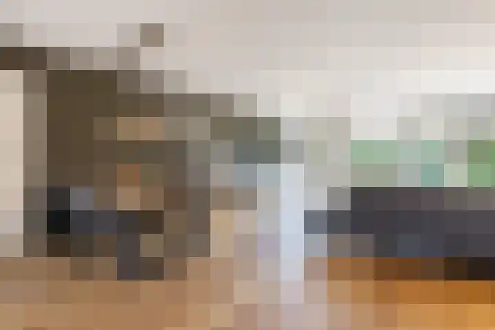 De Boeier 10 Hoogeveen thumbnail 7