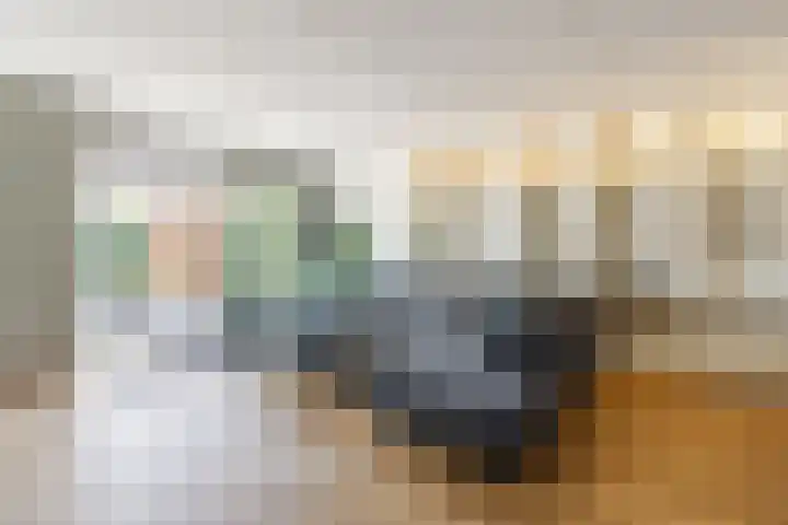 De Boeier 10 Hoogeveen thumbnail 8