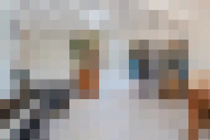 De Boeier 16 Hoogeveen thumbnail 12