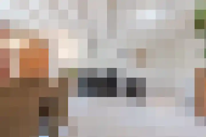 De Boeier 16 Hoogeveen thumbnail 13