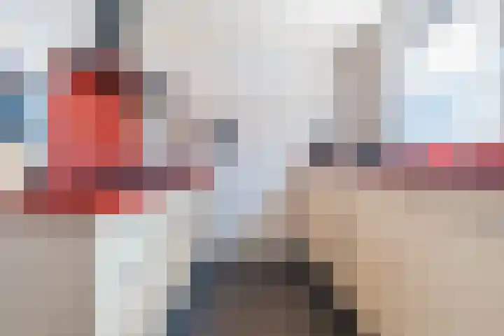 De Boeier 16 Hoogeveen thumbnail 15