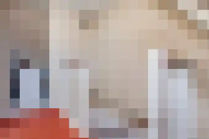 De Boeier 16 Hoogeveen thumbnail 33