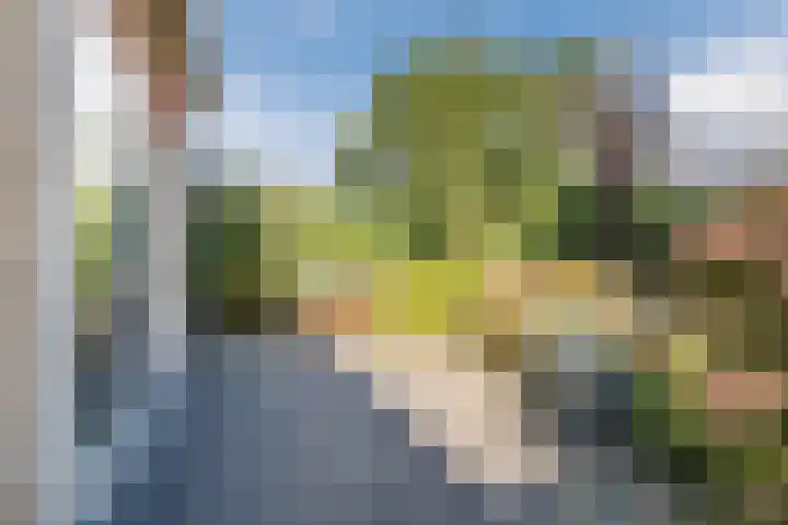 De Boeier 16 Hoogeveen thumbnail 38