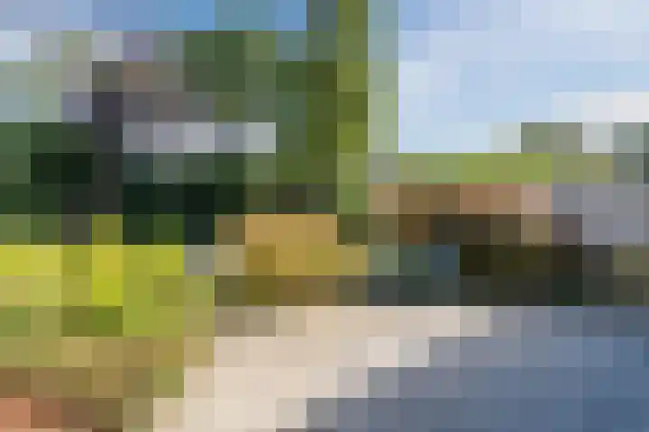 De Boeier 16 Hoogeveen thumbnail 39