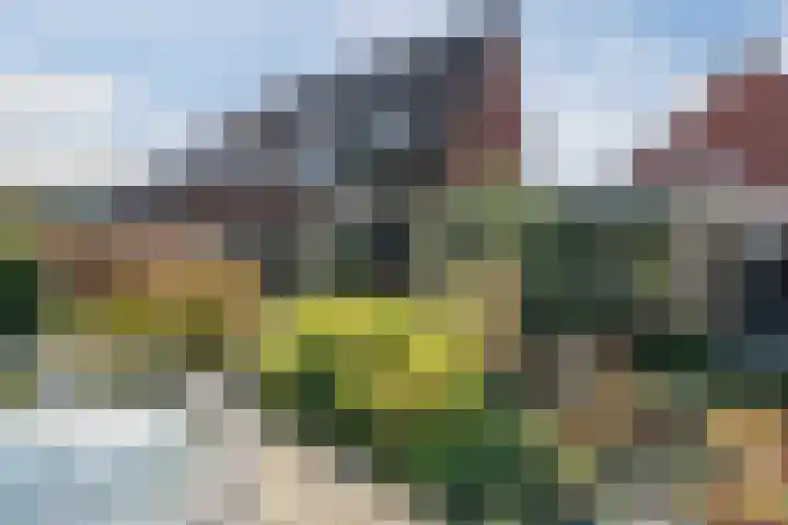 De Boeier 16 Hoogeveen thumbnail 40