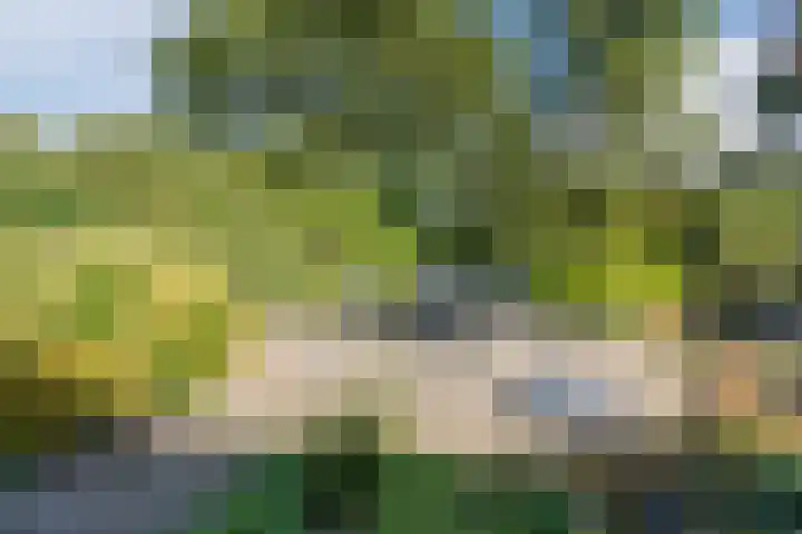 De Boeier 16 Hoogeveen thumbnail 41