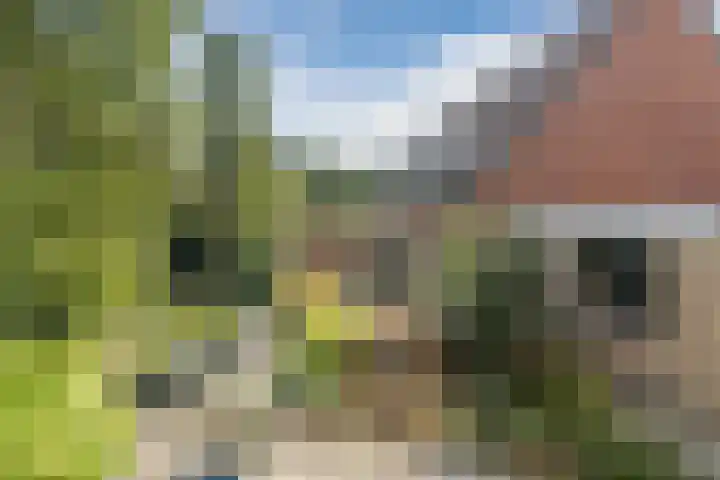 De Boeier 16 Hoogeveen thumbnail 43
