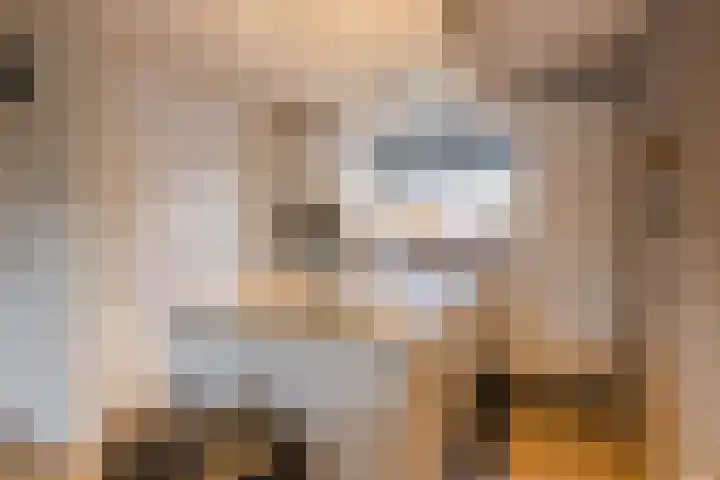 De Boeier 28 Hoogeveen thumbnail 13