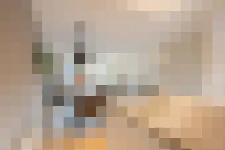 De Boeier 28 Hoogeveen thumbnail 16