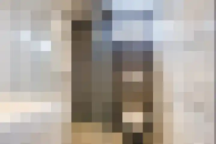 De Boeier 28 Hoogeveen thumbnail 32