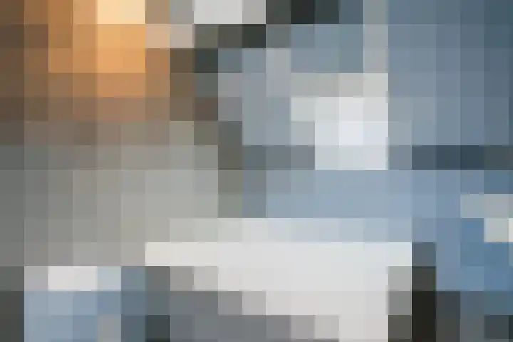 De Boeier 28 Hoogeveen thumbnail 36