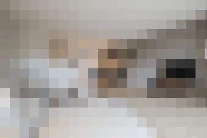 De Boeier 28 Hoogeveen thumbnail 8