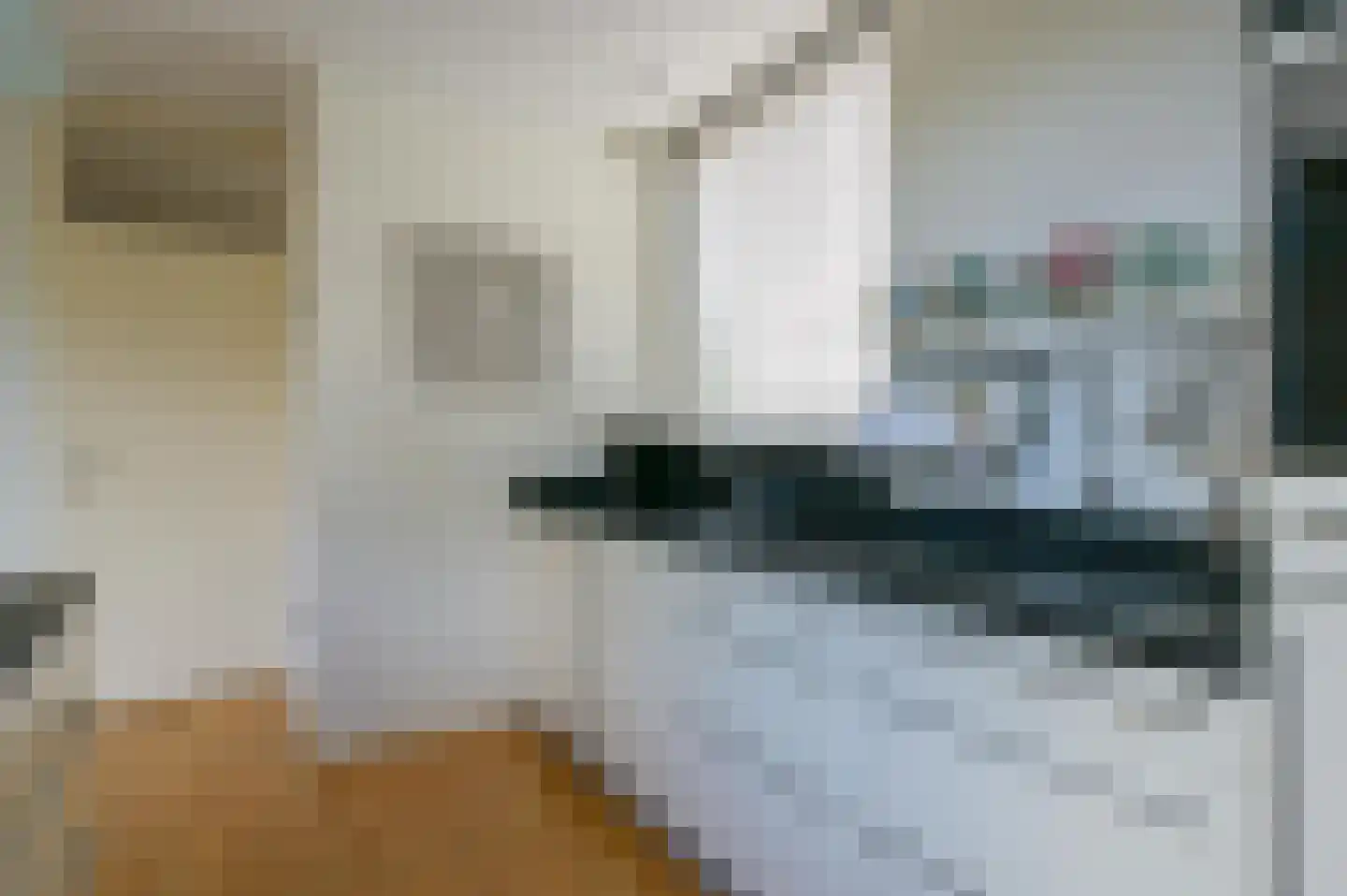 de Boeier 3 Baarn thumbnail 15