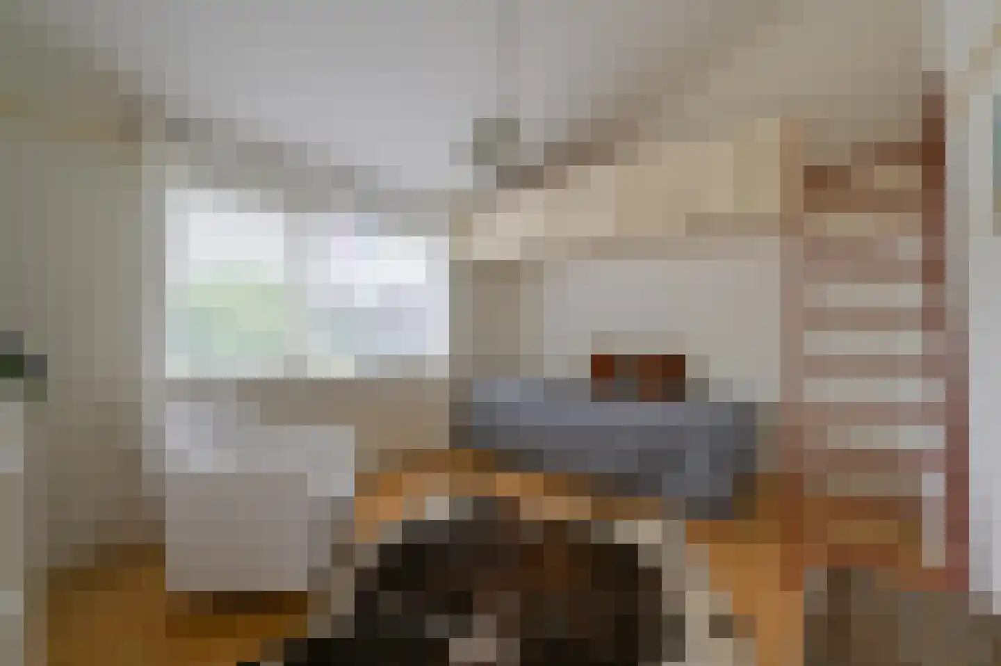 de Boeier 3 Baarn thumbnail 27
