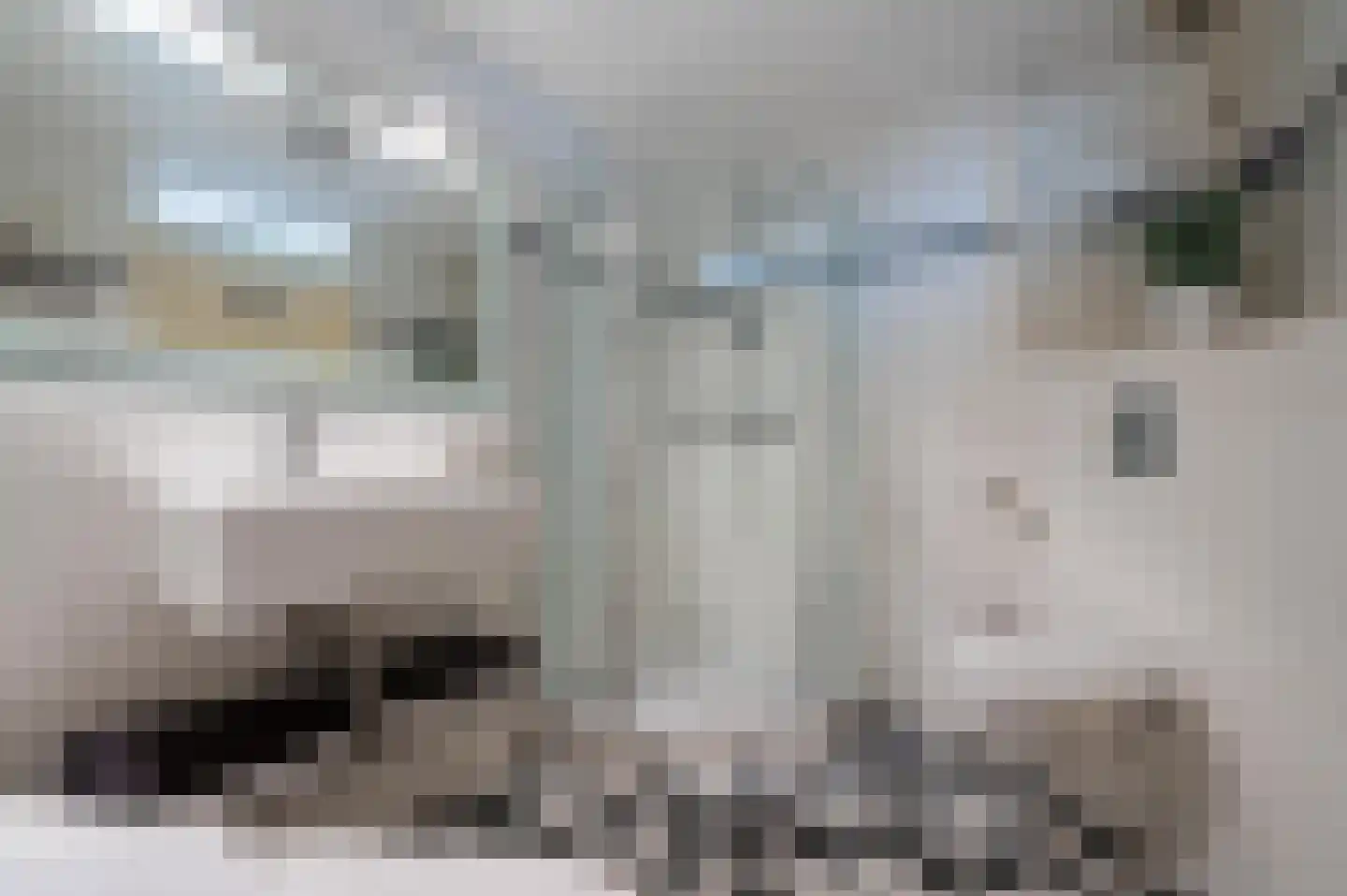 de Boeier 3 Baarn thumbnail 29