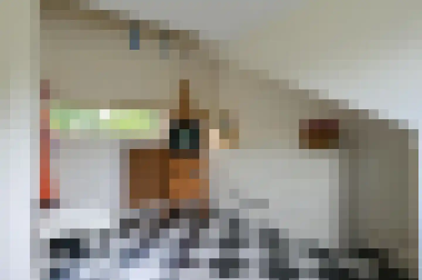 de Boeier 3 Baarn thumbnail 32