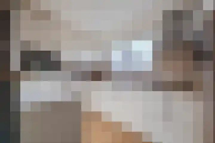 De Boeier 30 Hoogeveen thumbnail 5