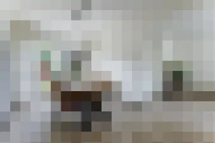 De Boeijer 3 Joure thumbnail 12