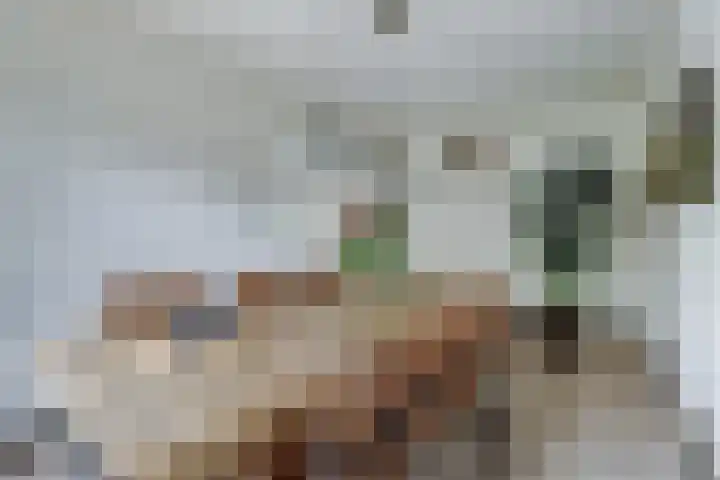 De Boeijer 3 Joure thumbnail 13