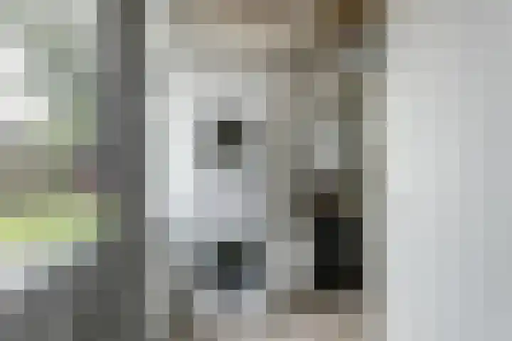 De Boeijer 3 Joure thumbnail 15