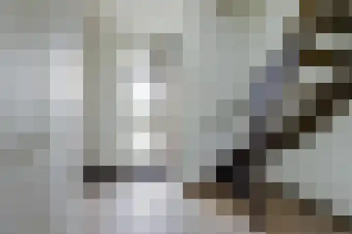De Boeijer 3 Joure thumbnail 17