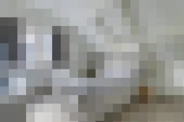 De Boeijer 3 Joure thumbnail 18