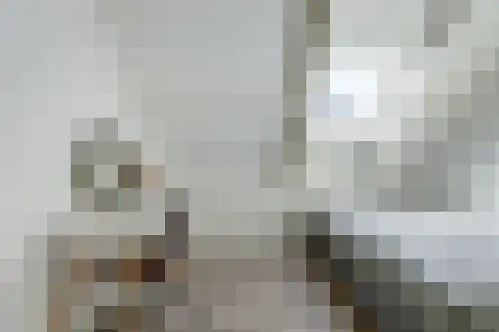 De Boeijer 3 Joure thumbnail 19