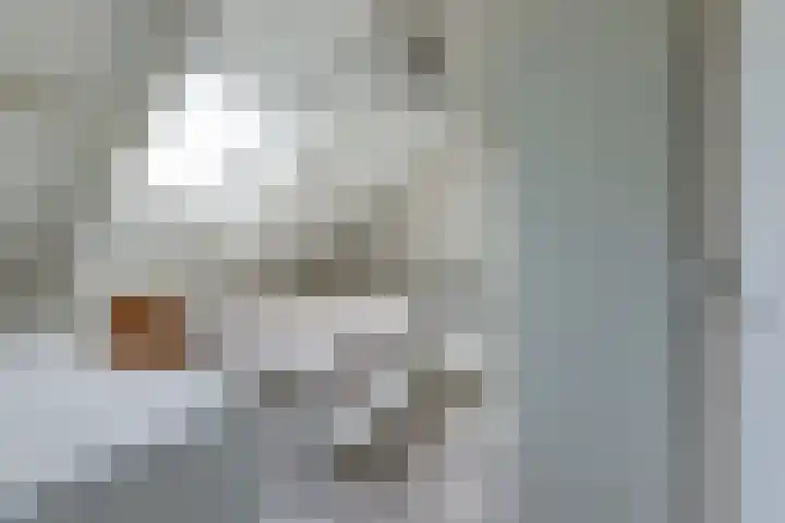 De Boeijer 3 Joure thumbnail 21