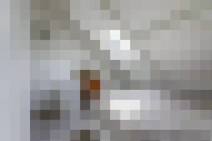De Boeijer 3 Joure thumbnail 22