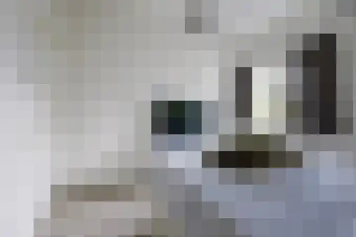 De Boeijer 3 Joure thumbnail 23