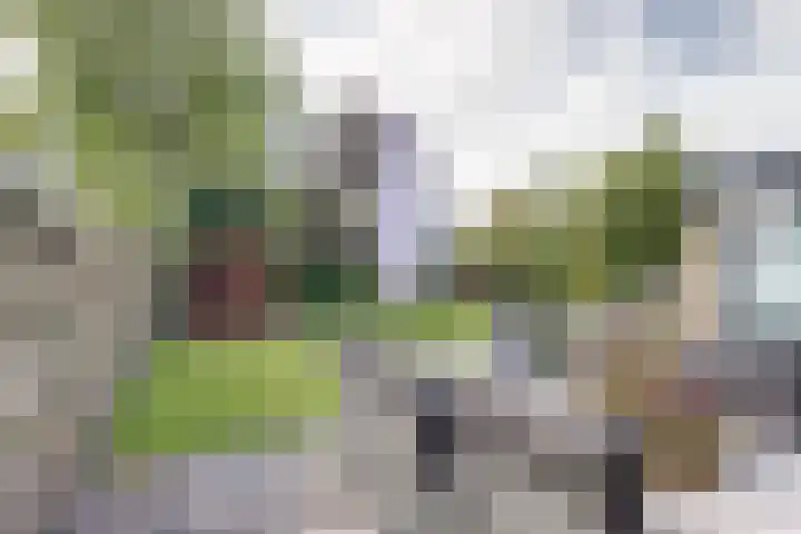 De Boeijer 3 Joure thumbnail 26