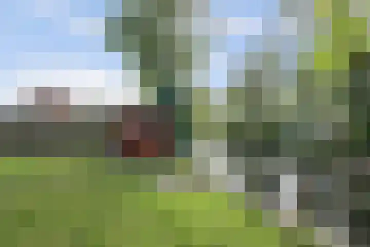 De Boeijer 3 Joure thumbnail 29