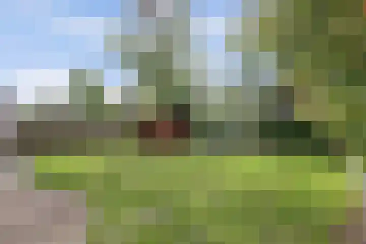De Boeijer 3 Joure thumbnail 30