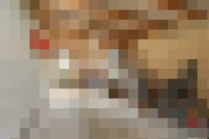 De Boeijer 3 Joure thumbnail 31