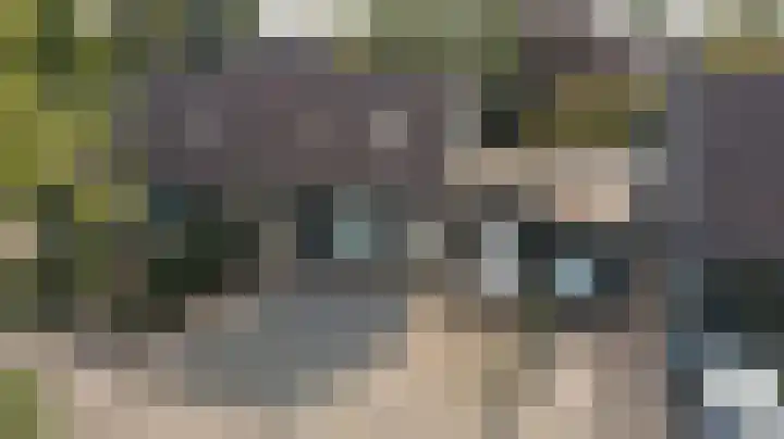 De Boeijer 3 Joure thumbnail 34