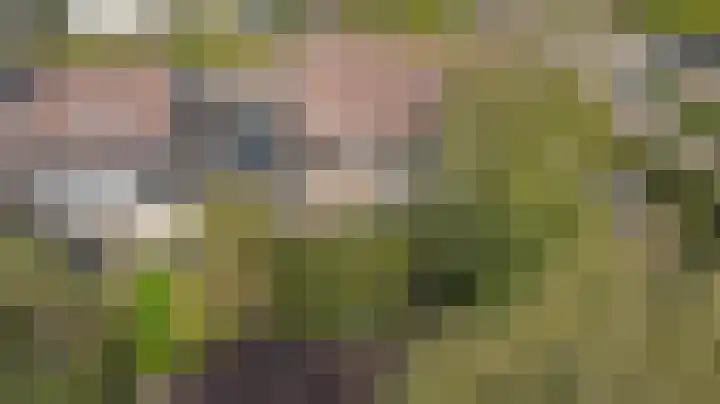 De Boeijer 3 Joure thumbnail 36