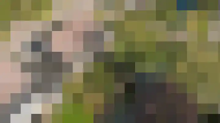 De Boeijer 3 Joure thumbnail 37