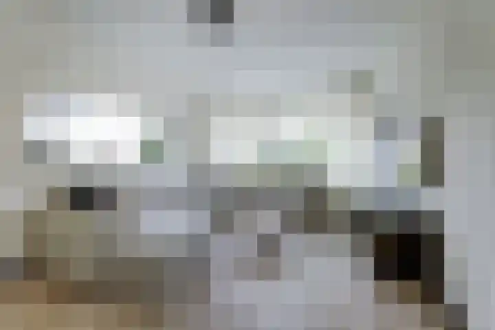 De Boeijer 3 Joure thumbnail 4