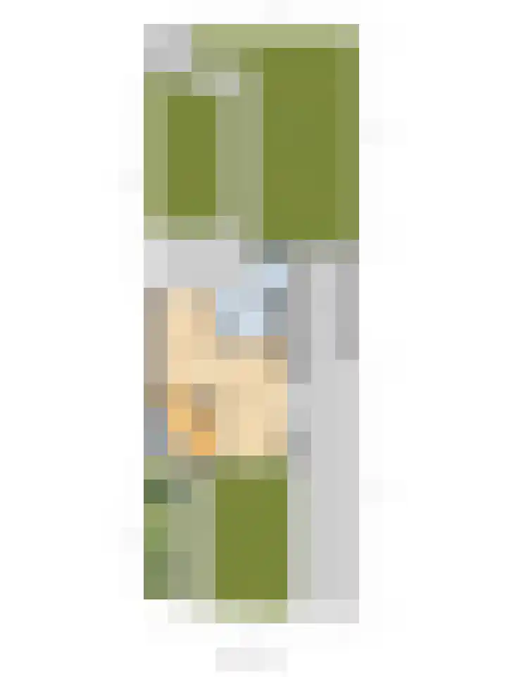 De Boeijer 3 Joure thumbnail 42