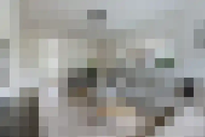 De Boeijer 3 Joure thumbnail 6