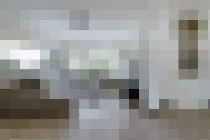 De Boeijer 3 Joure thumbnail 7