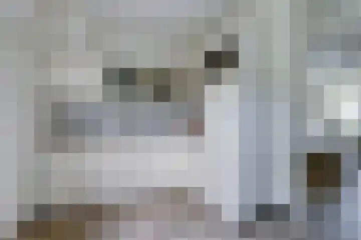 De Boeijer 3 Joure thumbnail 8