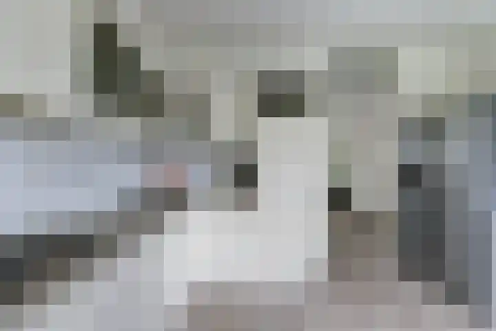 De Boeijer 3 Joure thumbnail 9