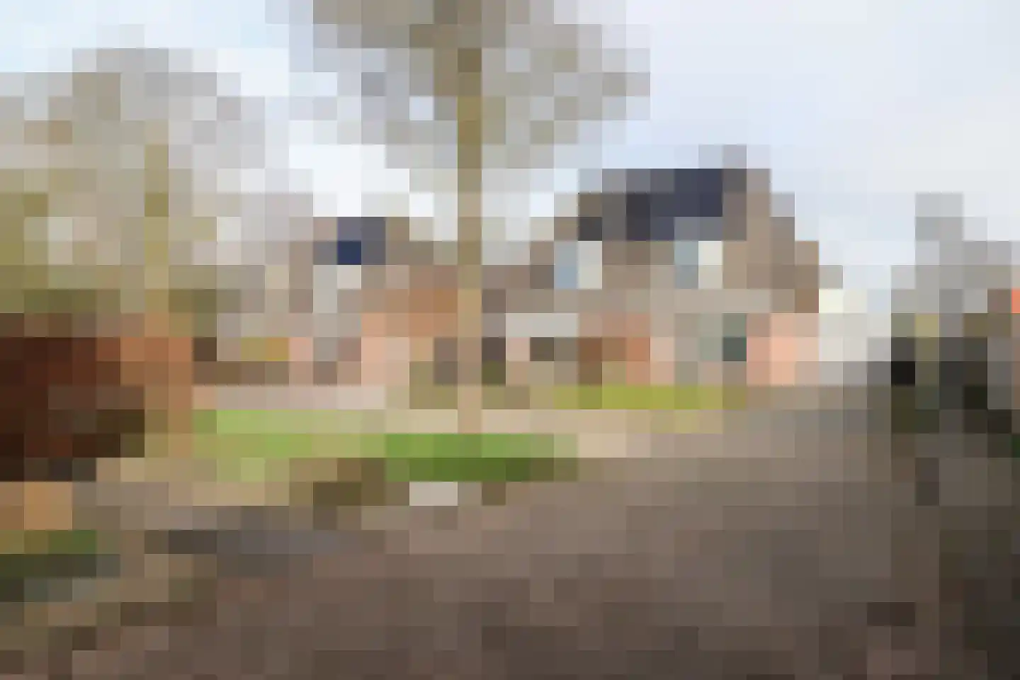 De Boek 13 Burgum thumbnail 49
