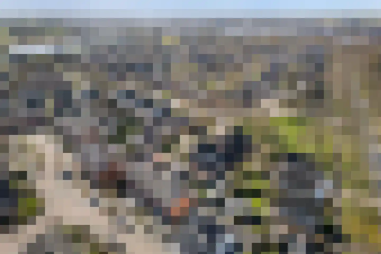 De Boek 13 Burgum thumbnail 56