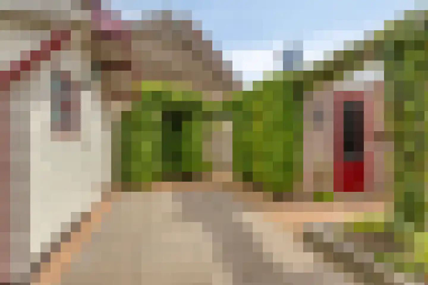 De Boek 42 Burgum thumbnail 25