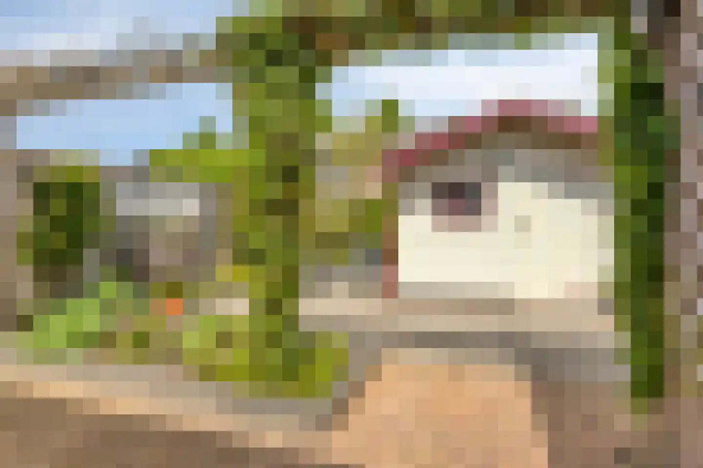 De Boek 42 Burgum thumbnail 4
