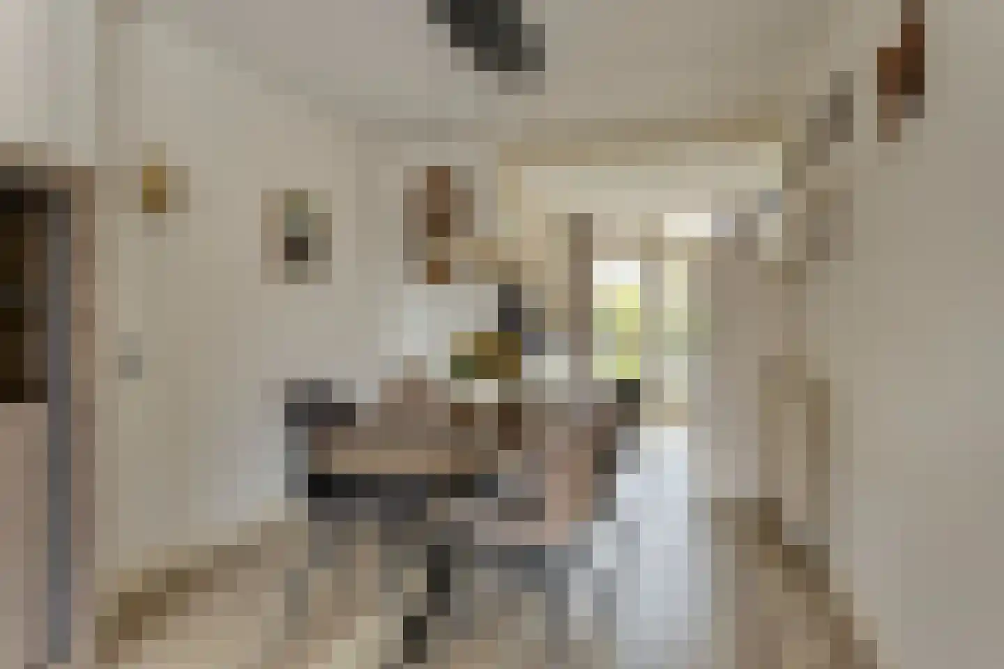De Boek 42 Burgum thumbnail 6