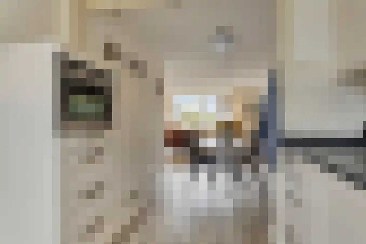 De Boek 42 Burgum thumbnail 8