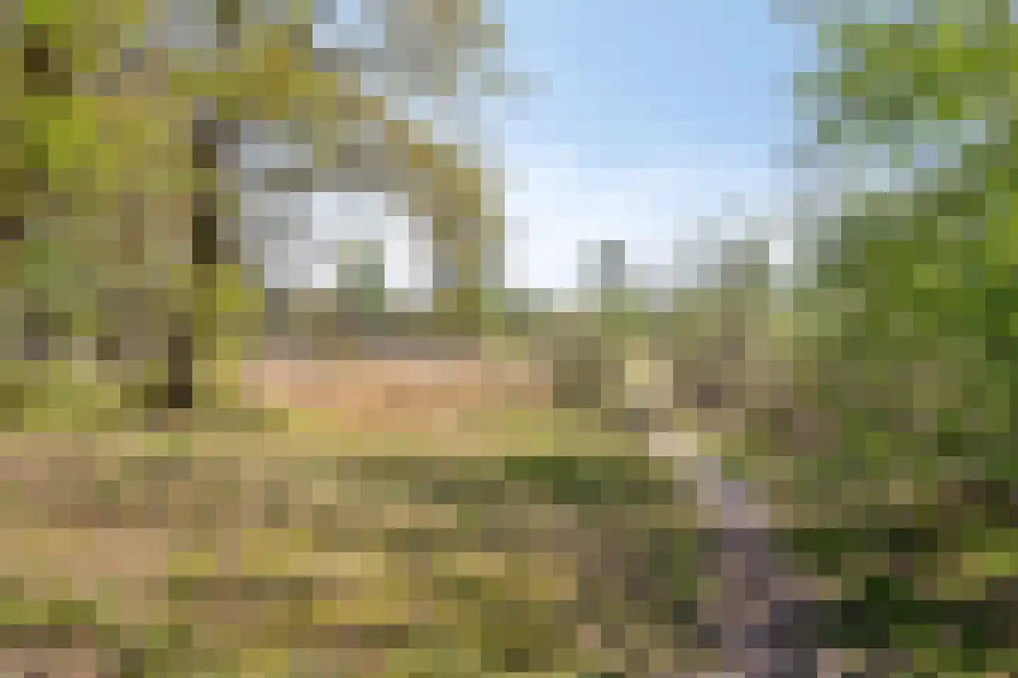 De Boekweit 31 Heesch thumbnail 100